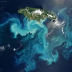 Satellite image showing a bright blue ocean sediment plume south of Jamaica caused by Hurricane Melissa stirring the seafloor